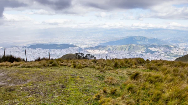 Natura dell'Ecua — Foto Stock