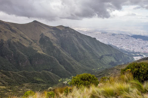 Природа Эквадора — стоковое фото