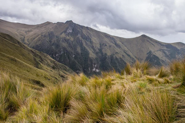 Naturaleza del ecu — Foto de Stock