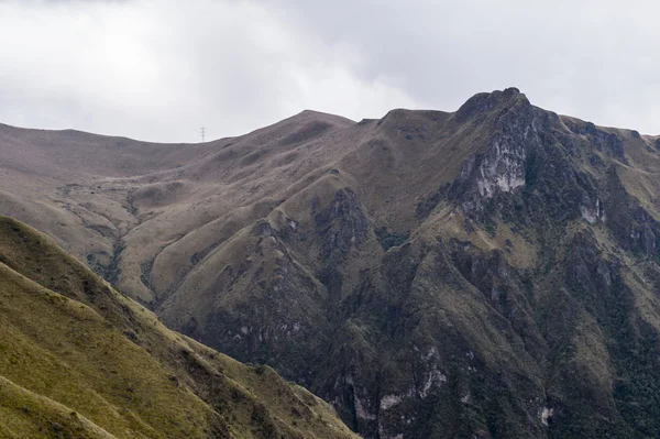 Typ av Ecuador — Stockfoto