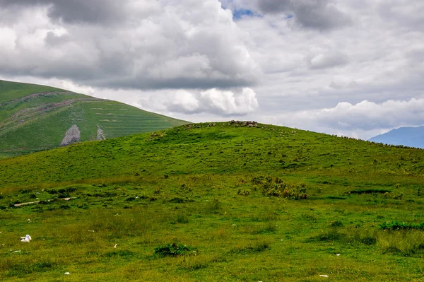 Landskab i Georgien - Stock-foto