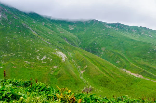 Landskapet i Georgien — Stockfoto