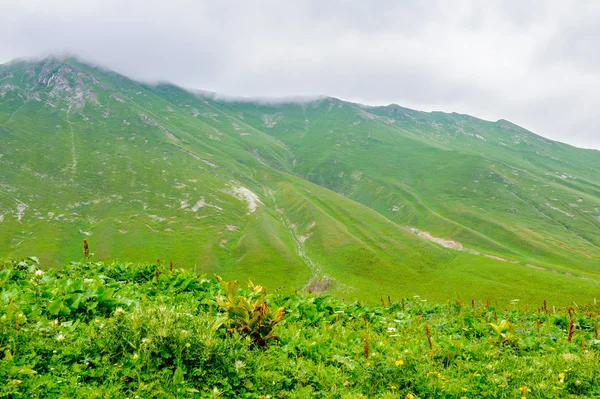 Landschaft von Georgien — Stockfoto
