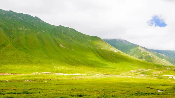 Landschap van Georgië — Stockfoto