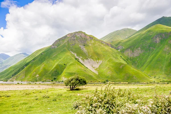 Landscgeorgia — 스톡 사진