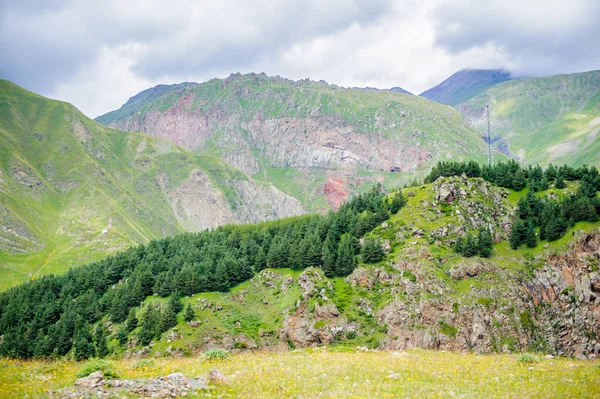 Paesaggio della Georgia — Foto Stock