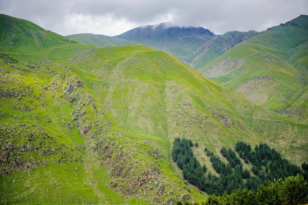 Landskap i Georgien — Stockfoto