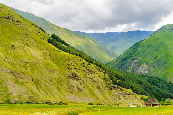 Landschap in Georgië — Stockfoto