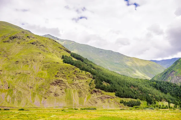 Natura della Georgia — Foto Stock