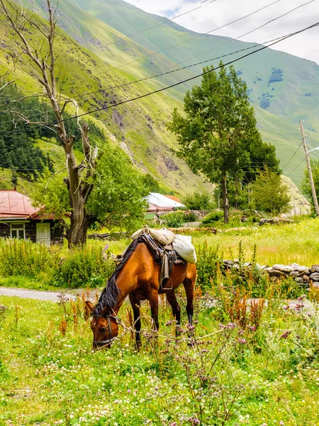 Natureza da Geórgia — Fotografia de Stock