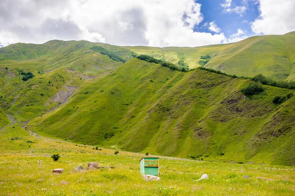 Naturaleza de Georgia — Foto de Stock