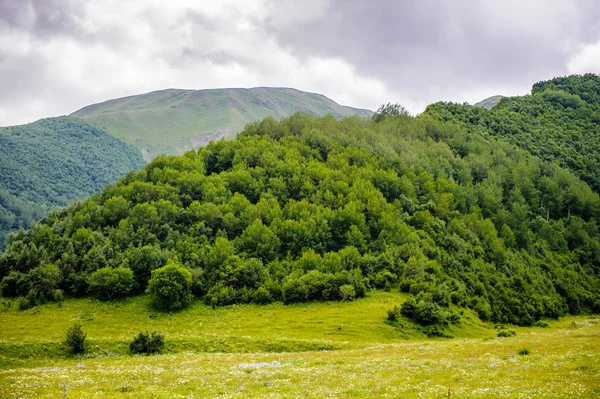 Natura della Georgia — Foto Stock