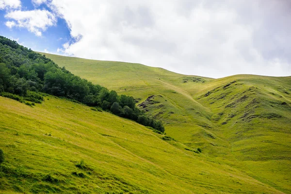 Natura della Georgia — Foto Stock