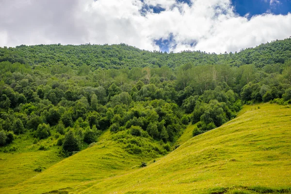 Natureza da Geórgia — Fotografia de Stock