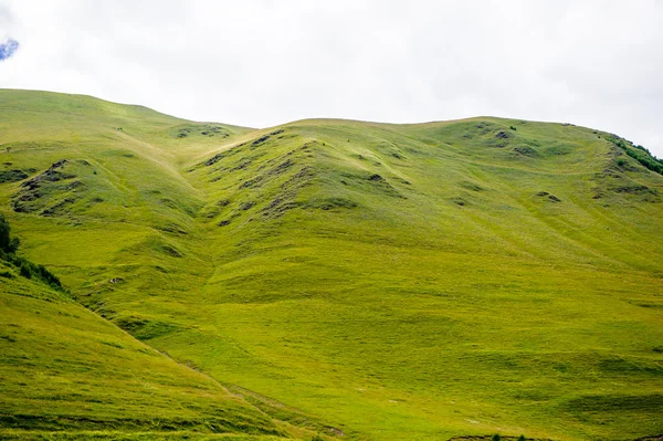 Natureza da Geórgia — Fotografia de Stock