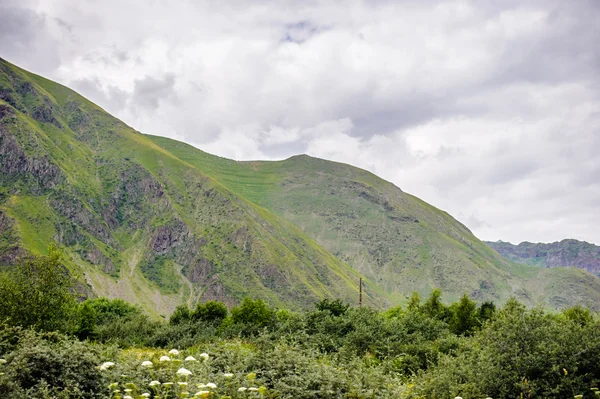 Natur von Georgien — Stockfoto