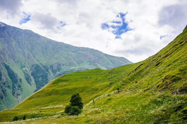 Naturen i Georgien — Stockfoto