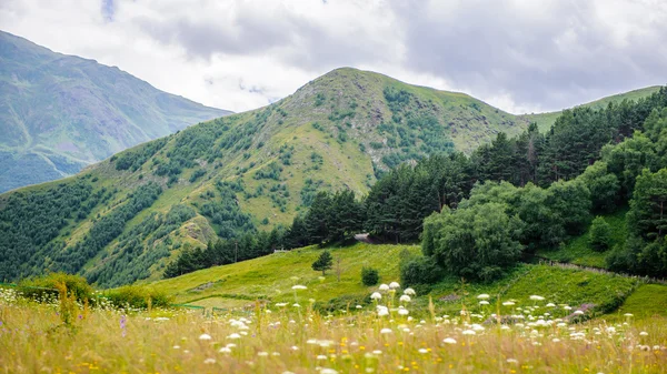 Naturaleza de Georgia — Foto de Stock