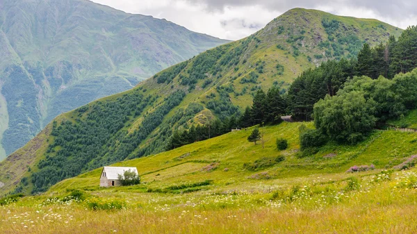 Naturaleza de Georgia — Foto de Stock