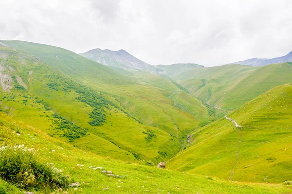 Naturaleza de Georgia — Foto de Stock