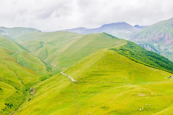 Naturaleza de Georgia — Foto de Stock