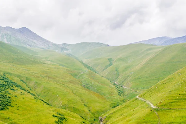 Naturaleza de Georgia — Foto de Stock