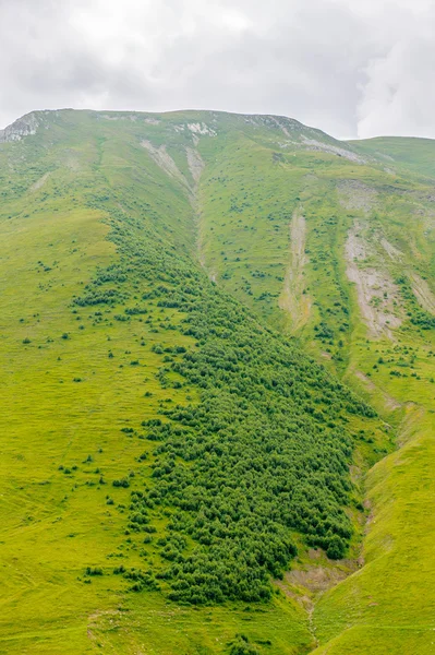 Naturen i Georgien — Stockfoto