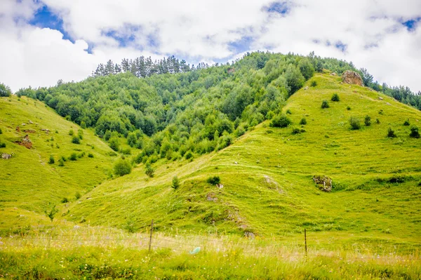 Natureza da Geórgia — Fotografia de Stock