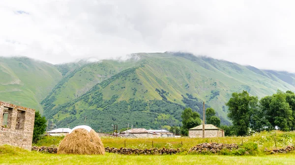 Doğa, Gürcistan — Stok fotoğraf