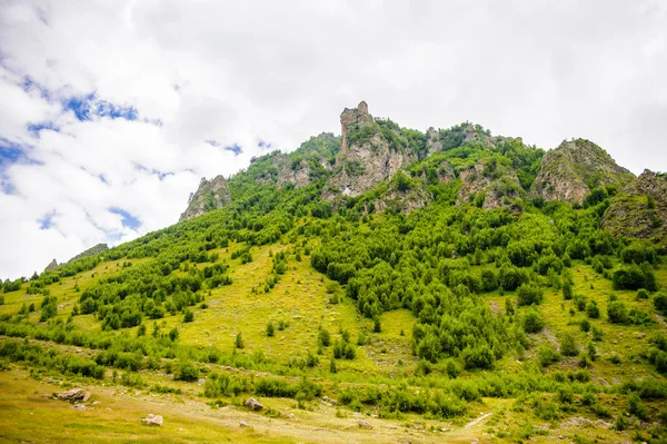 Doğa, Gürcistan — Stok fotoğraf