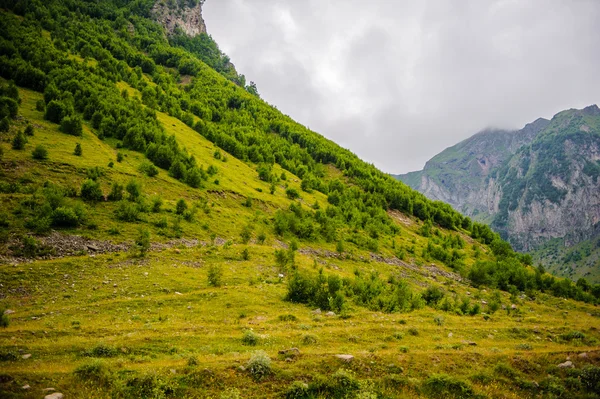 Naturen i Georgien — Stockfoto