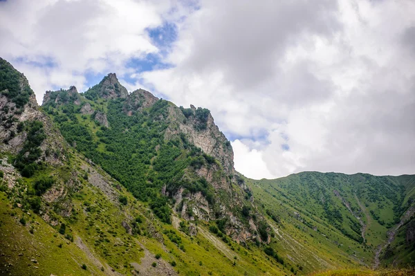 Naturen i Georgien — Stockfoto