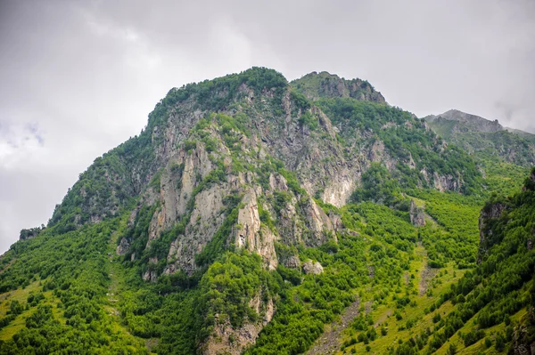 Nature of Georgia — Stock Photo, Image