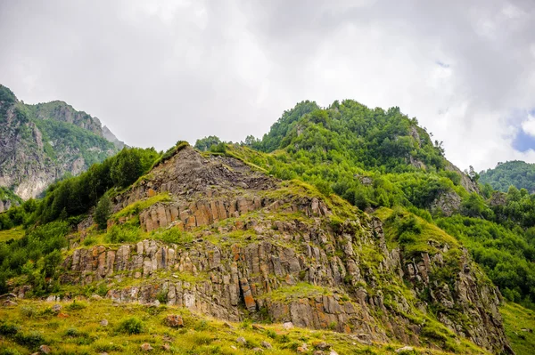 Aard van Georgië — Stockfoto