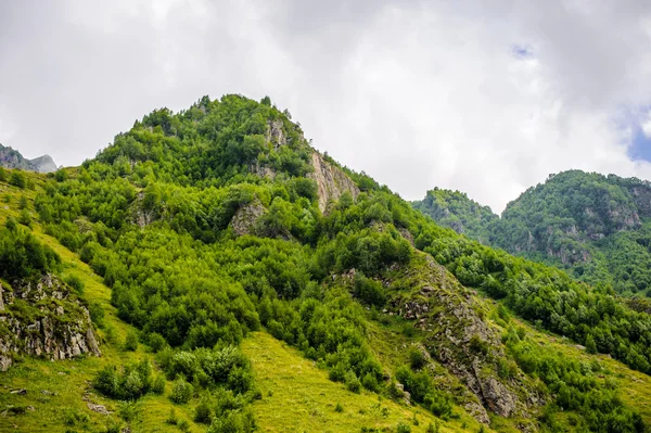 Naturen i Georgien — Stockfoto