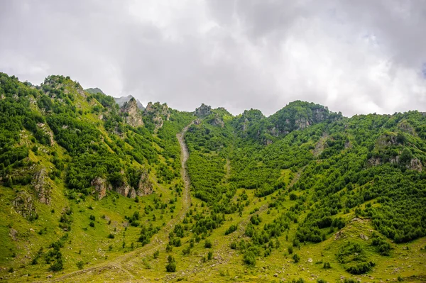 Doğa, Gürcistan — Stok fotoğraf