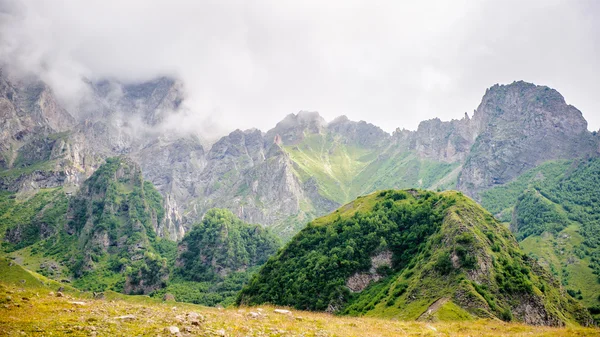 조지아의 자연 — 스톡 사진