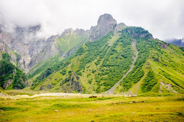 Aard van Georgië — Stockfoto