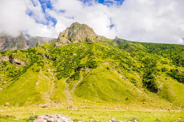 Natur von Georgien — Stockfoto