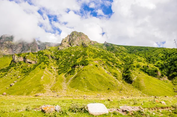 Nature of Georgia — Stock Photo, Image