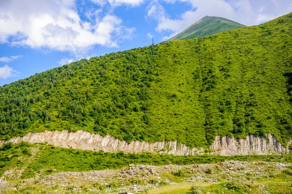 Natura della Georgia — Foto Stock