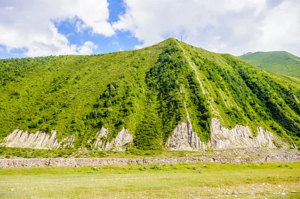 Doğa, Gürcistan — Stok fotoğraf
