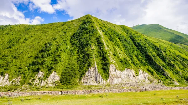 조지아의 자연 — 스톡 사진