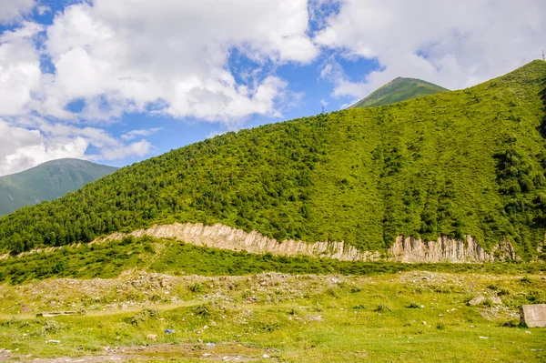 Doğa, Gürcistan — Stok fotoğraf