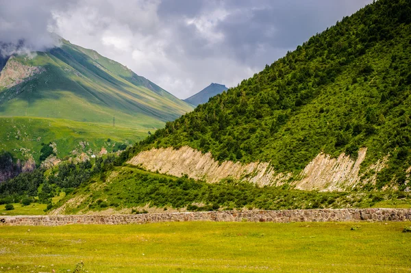 Aard van Georgië — Stockfoto