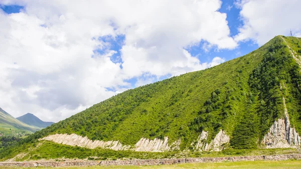 Naturaleza de Georgia — Foto de Stock