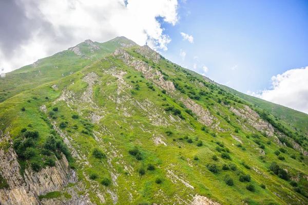 Natura della Georgia — Foto Stock