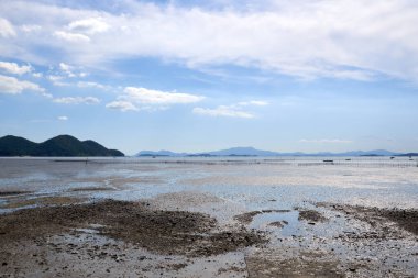 Güney Kore, Suncheon Körfezi 'nin gelgit düzlüklerindeki ıslak çamur ve sığ havuzların detaylı dokusu, uzak dağlar ve mavi gökyüzü ile güneş ışığı altında parlıyor..