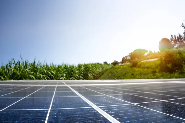 Zonne Energie Suikerboerderij Groene Stroom Natuurlijke Energie Voor Landbouwers — Stockfoto