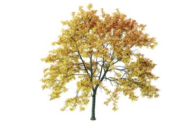 Beyaz arkaplanda izole edilmiş ağaç, 3d resimleme